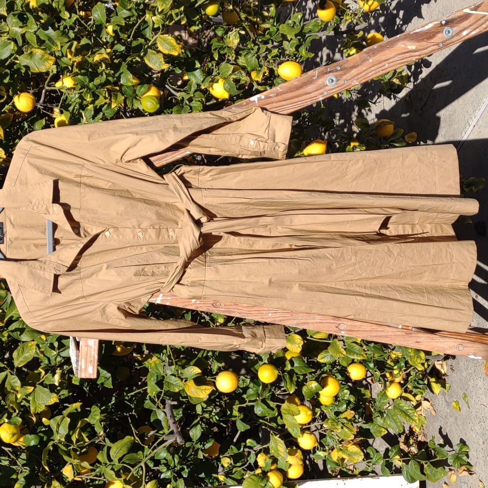J. Crew Fit and Flare Cotton Dress Collar Button Down Tan S